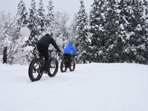 ファットバイク